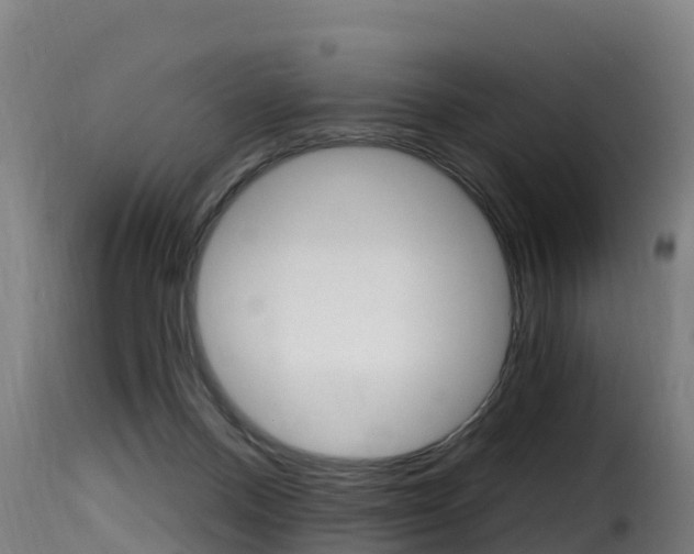 X0000116110120200911231004