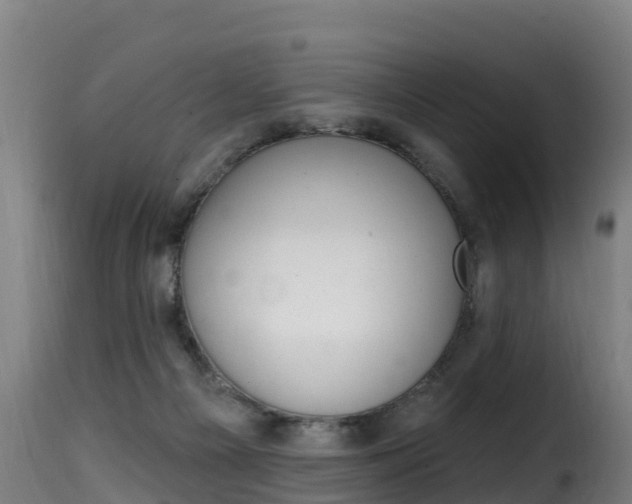 X0000116110121200911231004