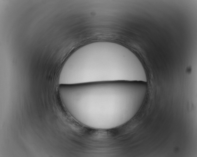 X0000116110123200911231004