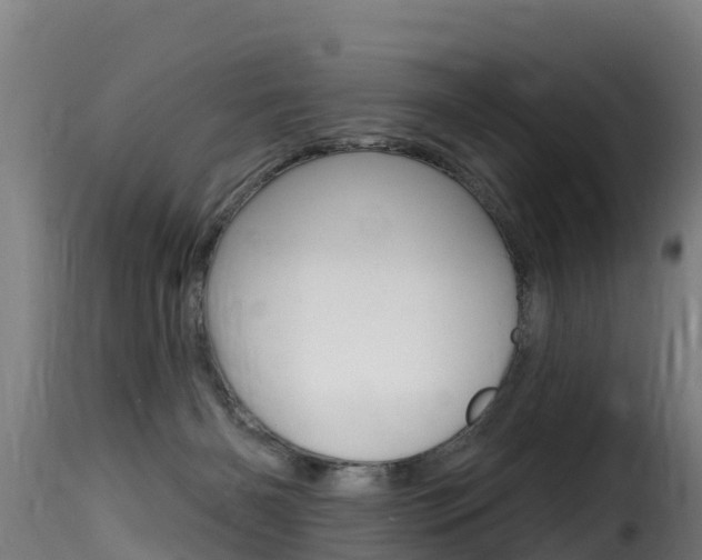 X0000116110126200911231004