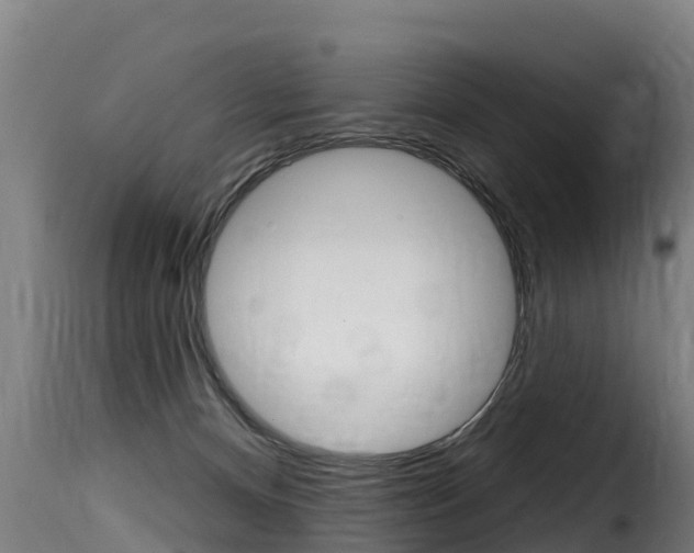 X0000116110128200911231004