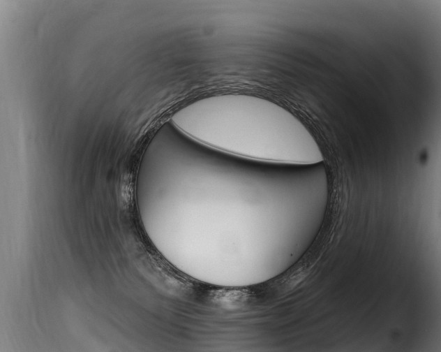X0000116110135200911231004