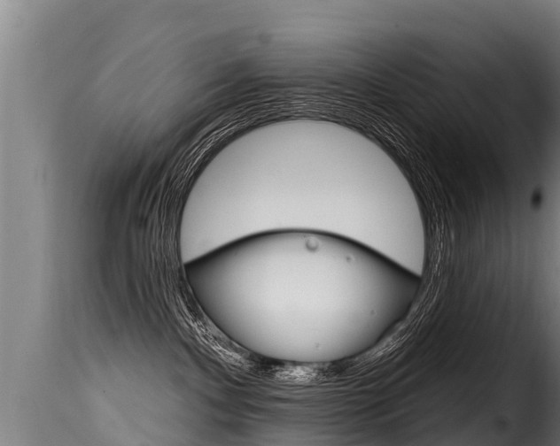 X0000116110140200911231004