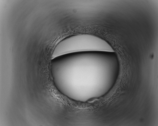 X0000116110144200911231004