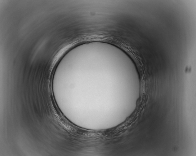 X0000116110147200911231003