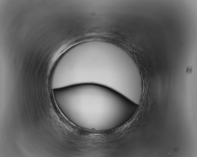 X0000116110150200911231003