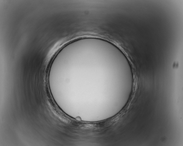X0000116110151200911231003