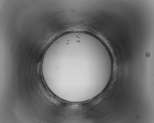 X0000116110153200911231003