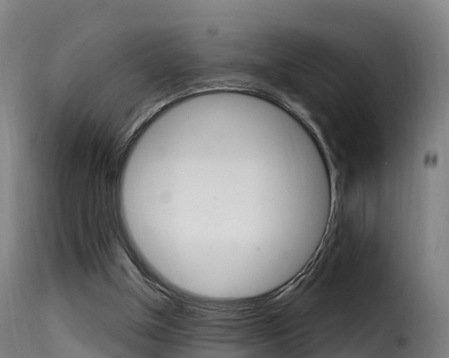 X0000116110154200911231003