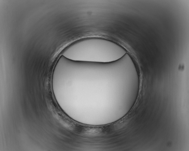 X0000116110155200911231003
