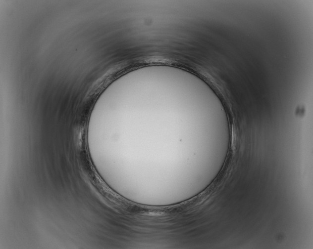 X0000116110157200911231003