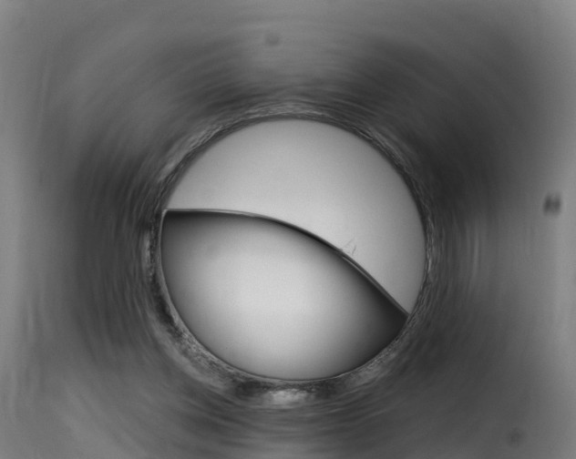 X0000116110158200911231003