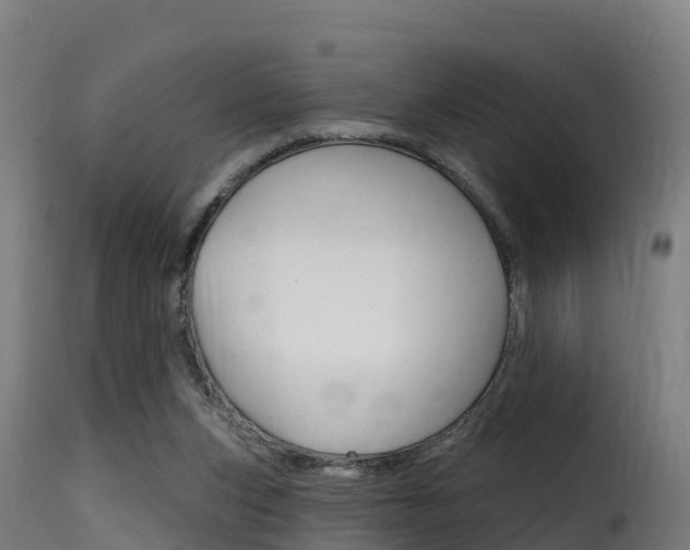 X0000116110159200911231003