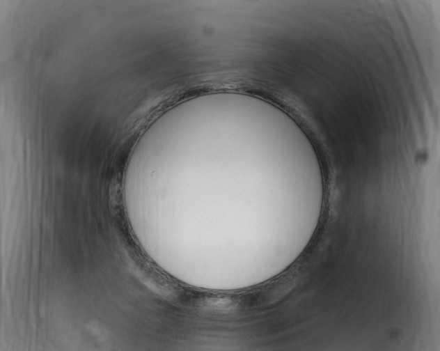 X0000116110161200911231003