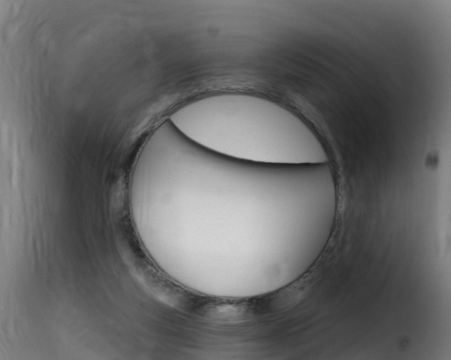 X0000116110163200911231003