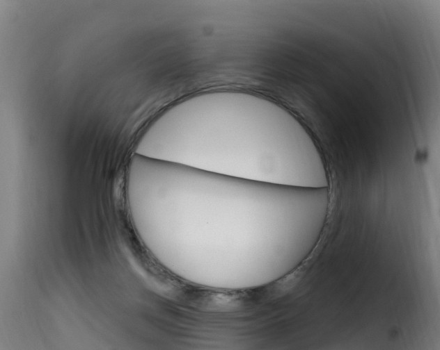 X0000116110166200911231003