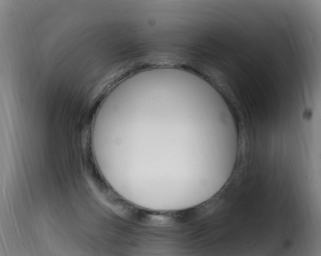 X0000116110167200911231003