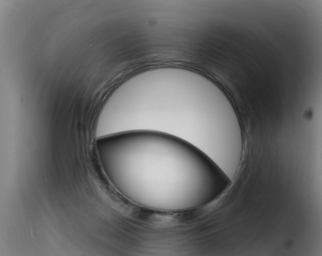 X0000116110170200911231003
