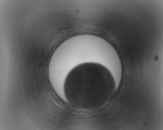 X0000116110173200911231003