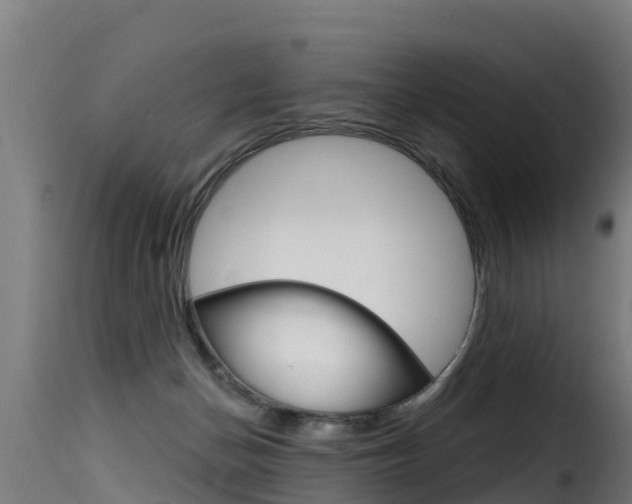 X0000116110174200911231003