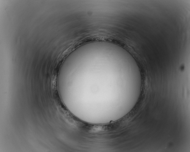 X0000116110177200911231003