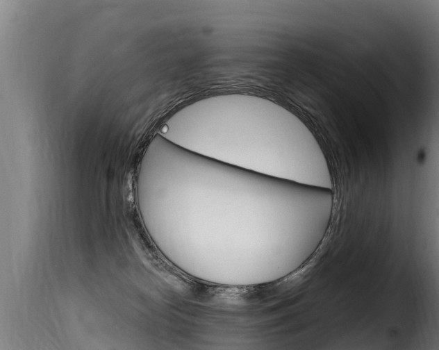 X0000116110182200911231003