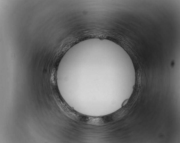 X0000116110185200911231003