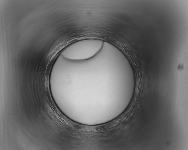 X0000116110194200911231003