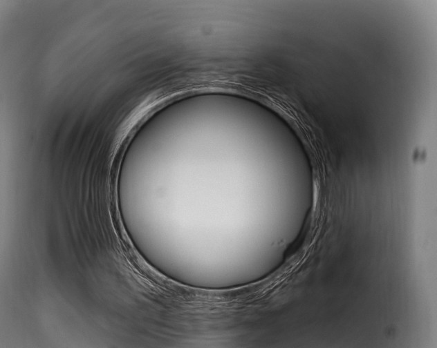 X0000116110195200911231003