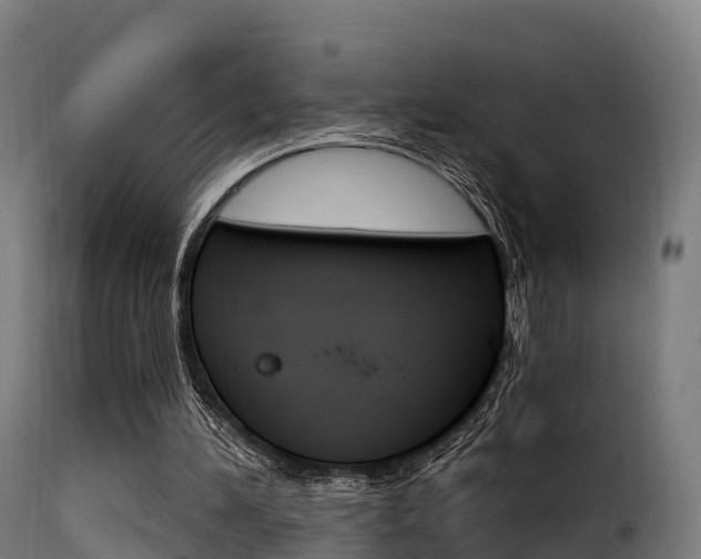 X0000116110196200911231003