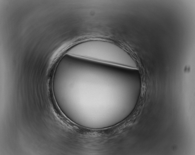 X0000116110197200911231003
