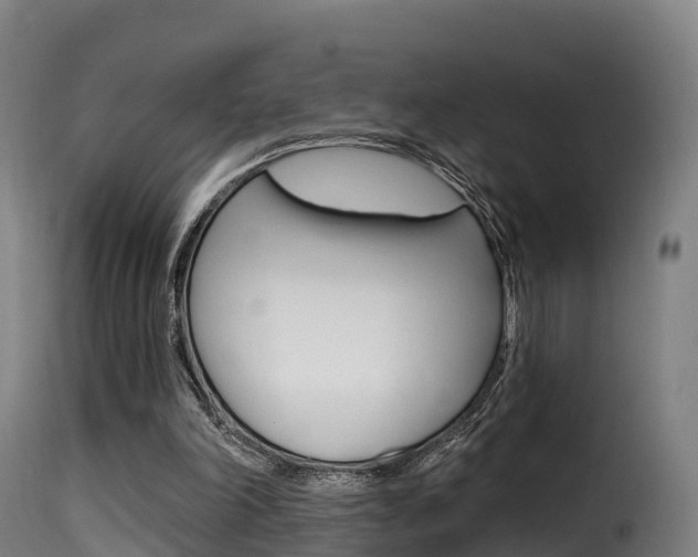 X0000116110198200911231003