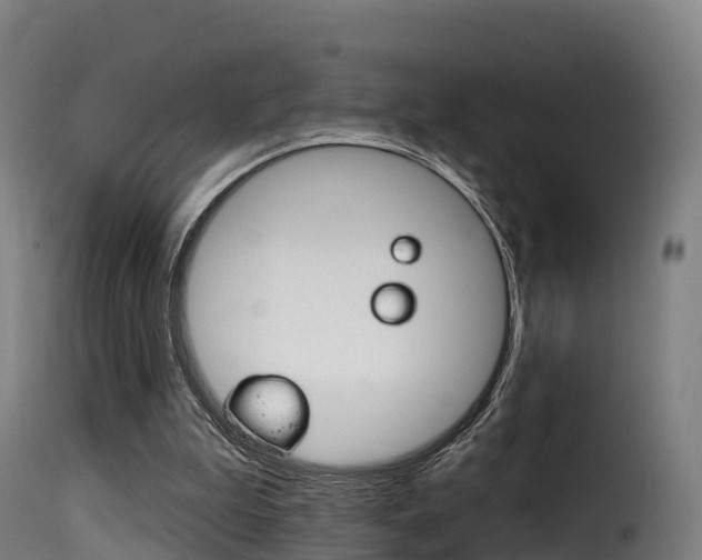 X0000116110199200911231003