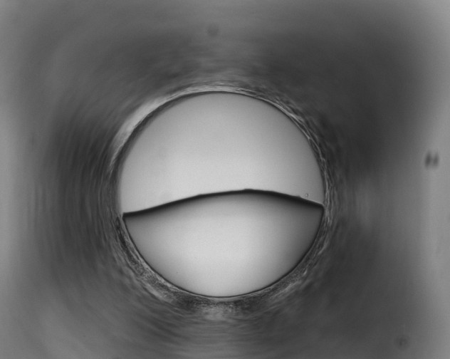 X0000116110200200911231003