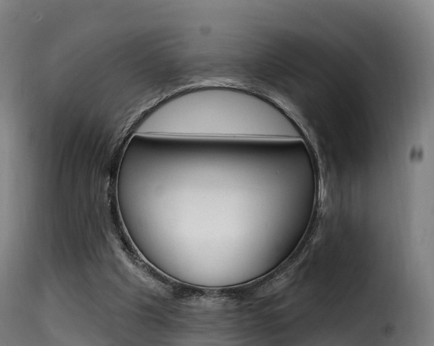 X0000116110201200911231003