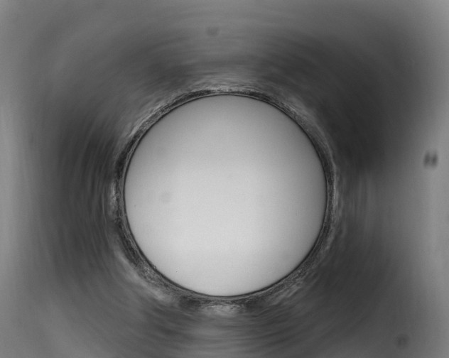 X0000116110202200911231003