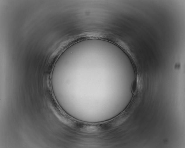 X0000116110205200911231003
