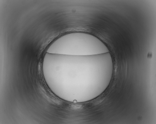 X0000116110206200911231003