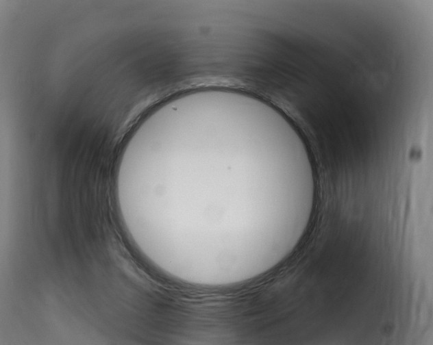 X0000116110207200911231003