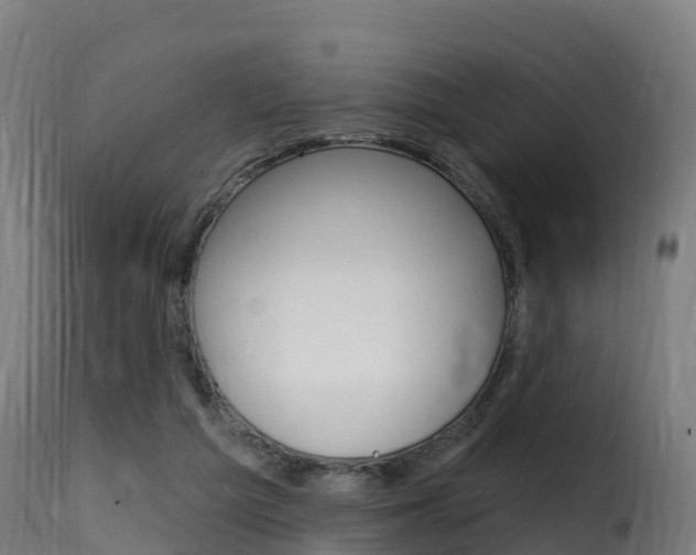 X0000116110209200911231003