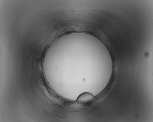 X0000116110213200911231003