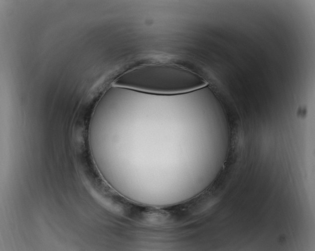 X0000116110215200911231003