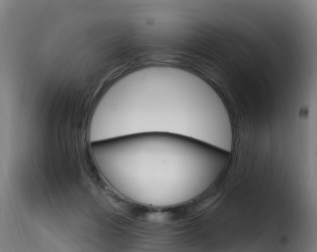 X0000116110216200911231003