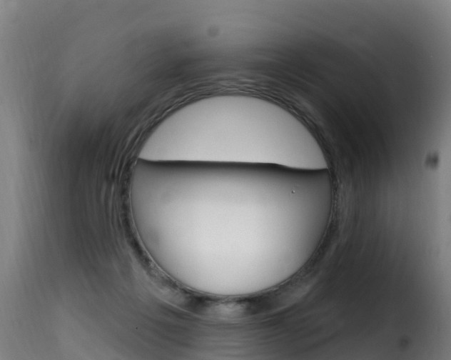 X0000116110217200911231003
