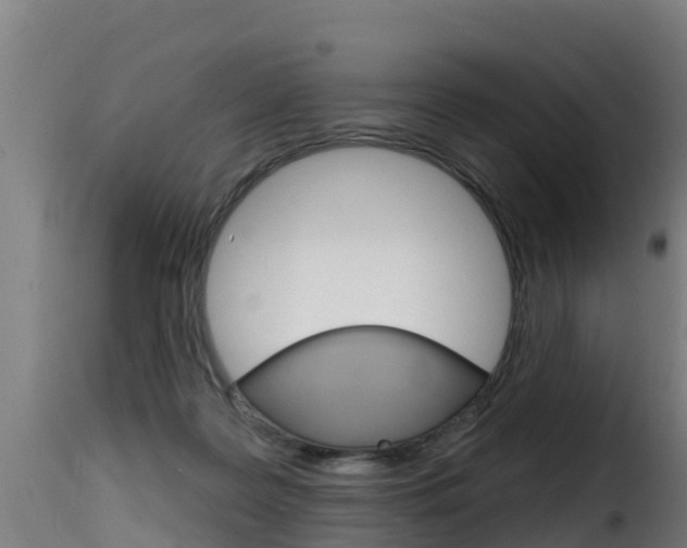 X0000116110219200911231002