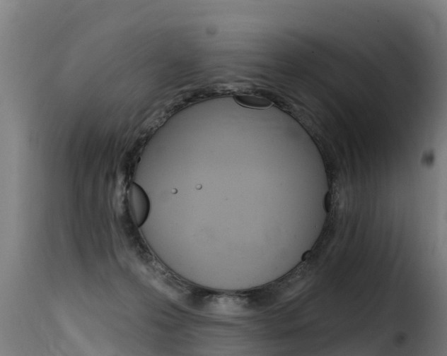 X0000116110223200911231002