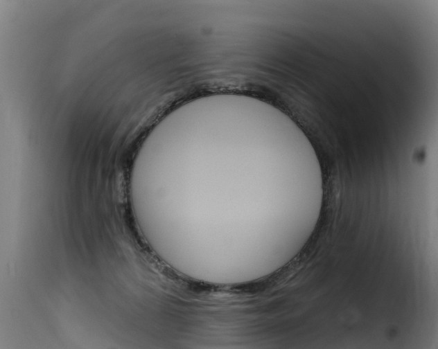 X0000116110224200911231002