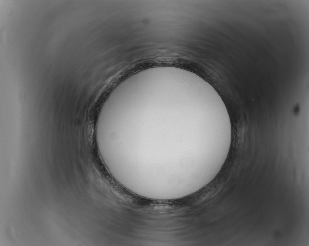 X0000116110228200911231002