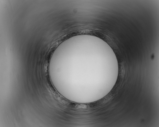 X0000116110230200911231002