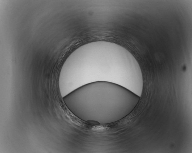 X0000116110231200911231002